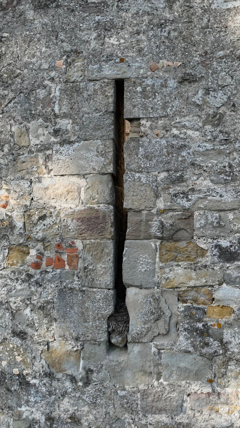 Archère dans la maçonnerie de la barbacane